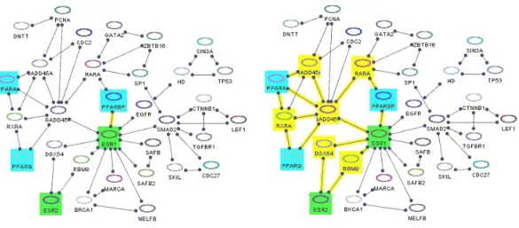 Figure 4.4: Shortest paths (yellow) between bioentities whose names start with