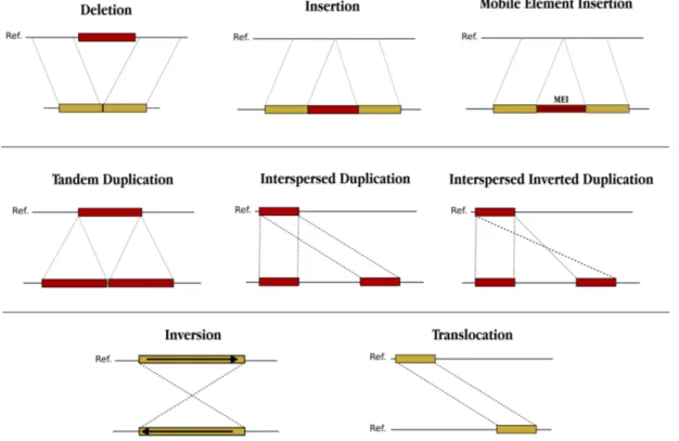 Figure 1.1: Structural Variations (SV) types of deletion, insertion, inversion, mobile element insertion (MEI), interspersed segmental duplication with direct and inverted orientations, tandem duplication and translocation are depicted.