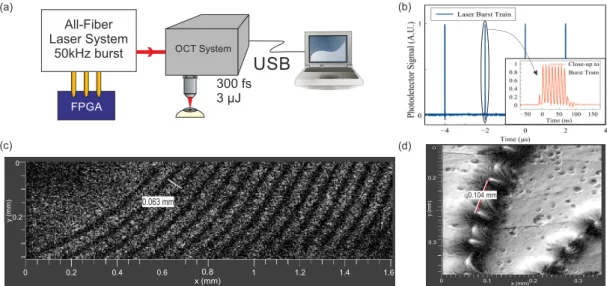 Fig. 1 (a) Laser integrated with OCT. PC controls scanner and gets images from the OCT