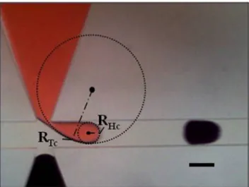 Figure 6.  Alternating droplet generation sequence in case of α = 0 at Q c  = 2.0 µl/min and Q d  = 0.2 µl/min