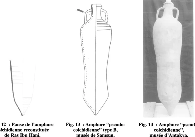 Fig. 12  :  Panse de l'amphore  colchidienne reconstituée 