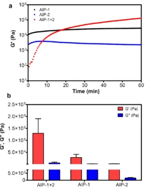 Figure 6. (a) Representative AFM topography image of AIP-1 + 2 nanoﬁber network on silicon substrate, prepared at pH 7