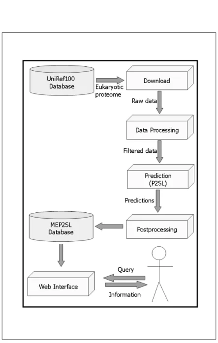 Figure 2.1: Internal structure of MEP2SL. Five modules are represented in boxes.