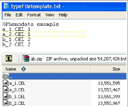 Figure 2.2: Phenodata file and CEL archive file for DEG upload.