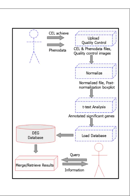 Figure 2.3: Internal structure of DEG. CEL file Analysis and Retrieval interfaces are represented with dashed blue and continuous red lines, respectively.