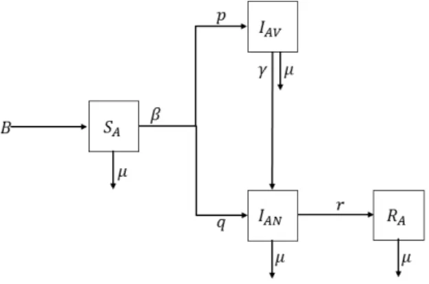 Figure 1. Diagram describing the first model given by equation system (2.1)