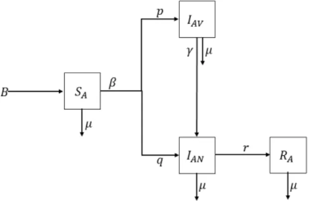 Figure 1. Diagram describing the first model given by equation system (2.1)