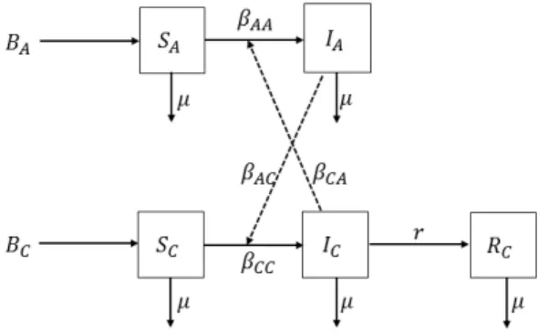 Figure 3. Schematic description of the model (4.1).