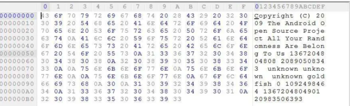 Figure 3.1: Sample output of device specific data. It is possible to link the items in Code 3.2 with this Hex Workshop v6.6 screen.