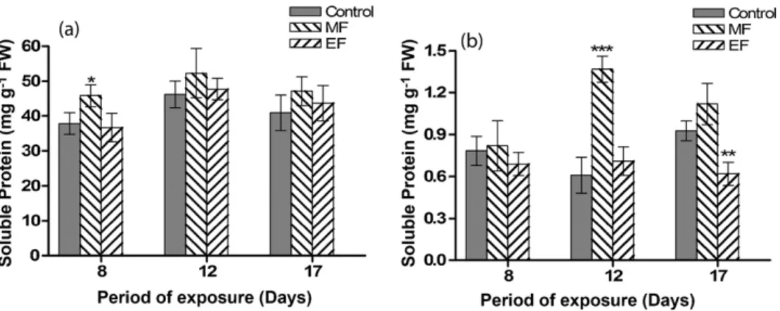 Fig. 3. Changes in symplastic (a) and apoplastic (b) protein levels in shallot leaves in response to weak static MF and EF applications