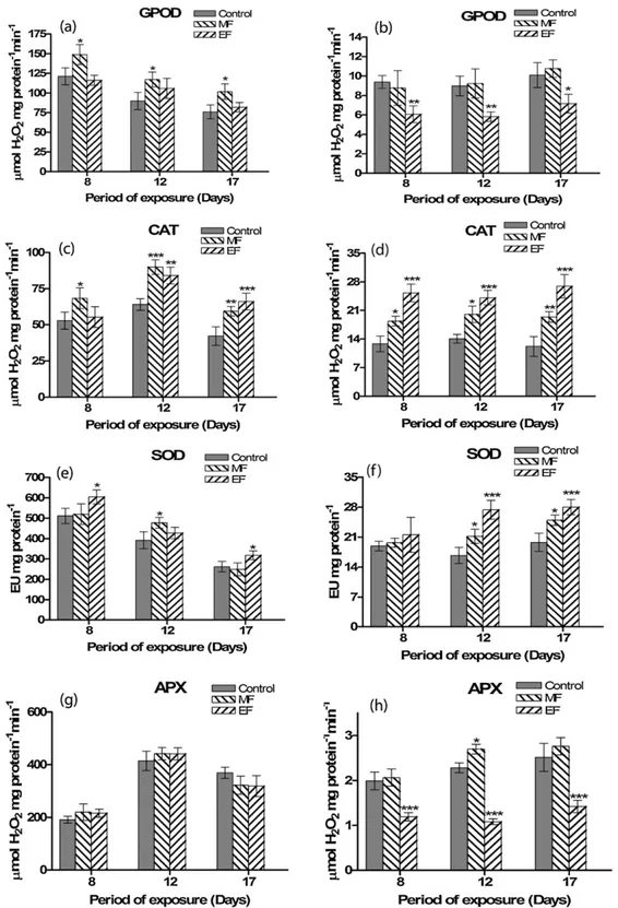 Fig. 4. Changes in symplastic (a, c, e, and g) and apoplastic (b, d, f, and h) antioxidant enzyme activities in shallot leaves in response to weak static MF and EF applications.