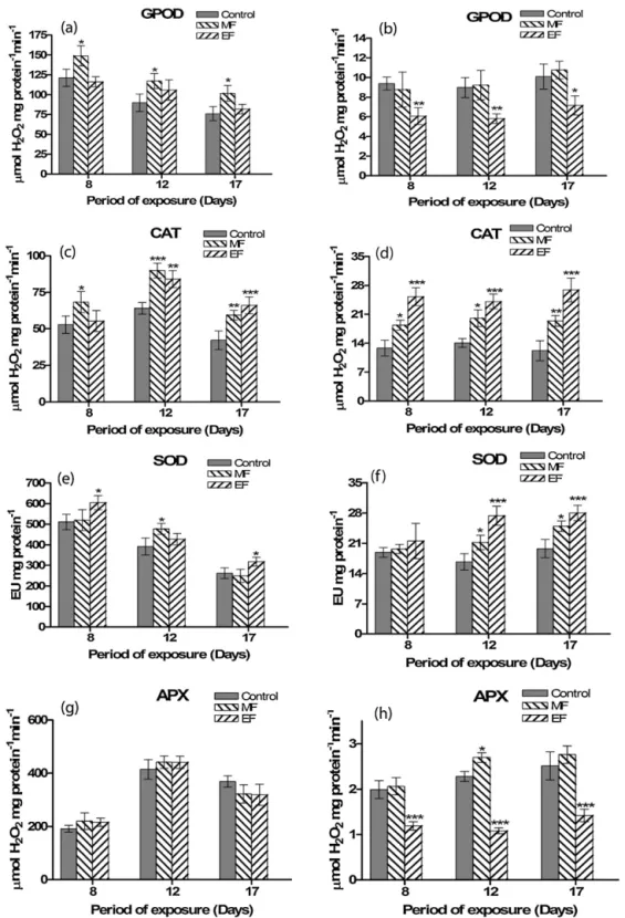 Fig. 4. Changes in symplastic (a, c, e, and g) and apoplastic (b, d, f, and h) antioxidant enzyme activities in shallot leaves in response to weak static MF and EF applications.