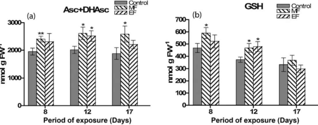 Fig. 6. Changes in (a) total ascorbate (Asc + DHAsc) and (b) glutathione (GSH) content of shallot leaves in response to weak static MF and EF applications