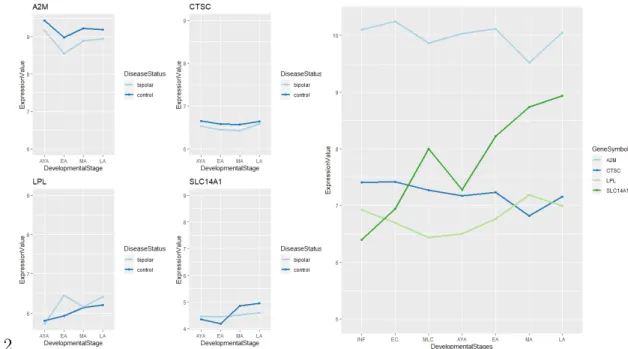 Figure 3.7: Common significant genes between healthy (GSE25219) and bipolar dataset’s (GSE92538) comparison