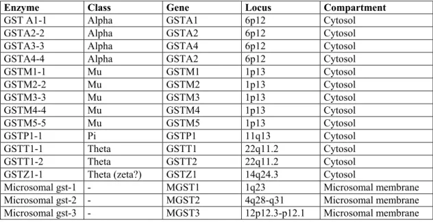 Table 3: The Glutathione S-tranferases 