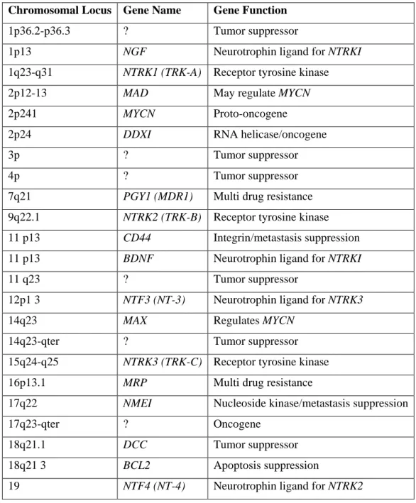Table 1: Proven or speculated chromosomal loci involved in neuroblastoma  tumorigenesis (Maris and Matthay, 1999) 