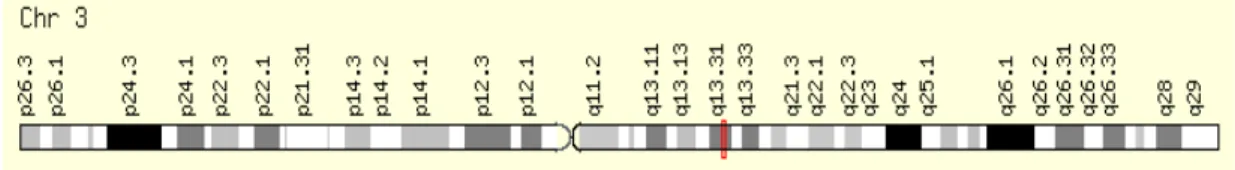 Figure 4: Location of LSAMP gene in long arm of chromosome 3. 