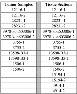Table 3: List of neuroblastoma tumor samples and tissue sections used in this study,  two samples from each patient were provided 