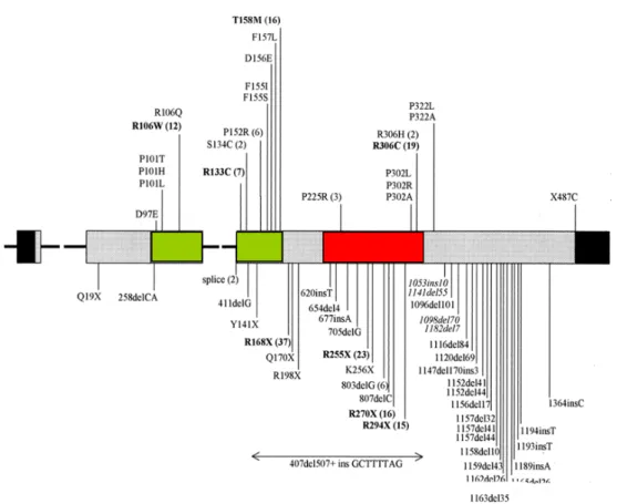 Figure 7. Mutations identified in MECP2.