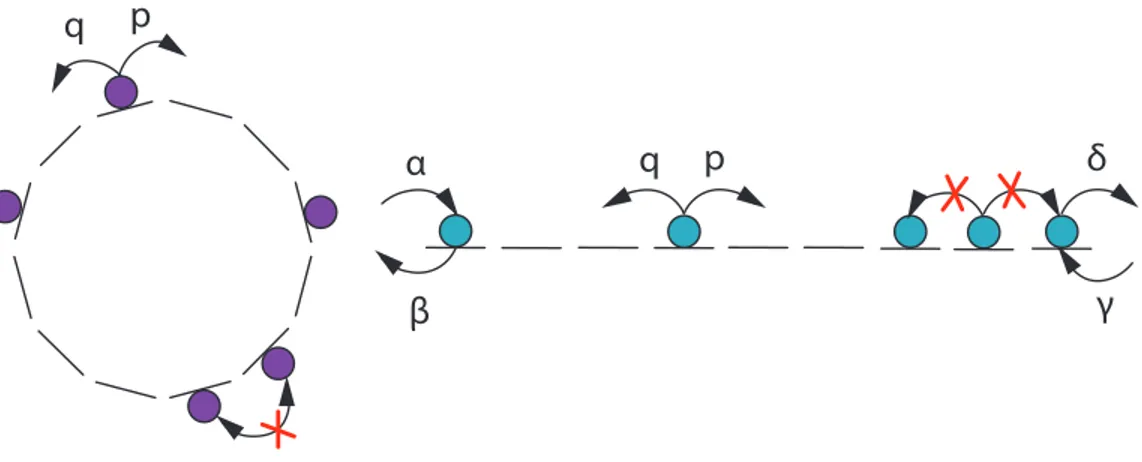 Figure 1.3: ASEP dynamics on periodic and open boundary conditions.