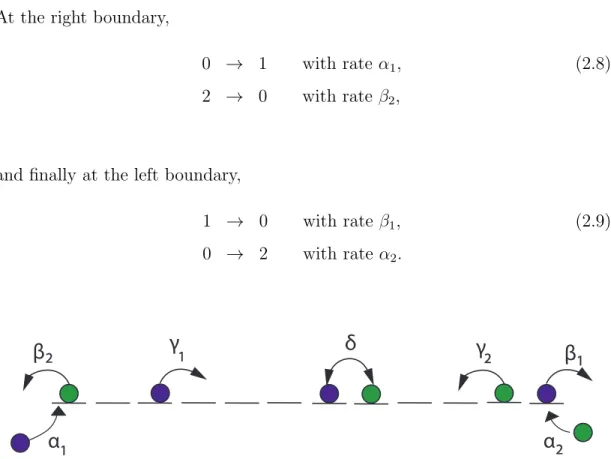 Figure 2.4: Schematic description of TASEP with two species of particles under open boundary conditions.