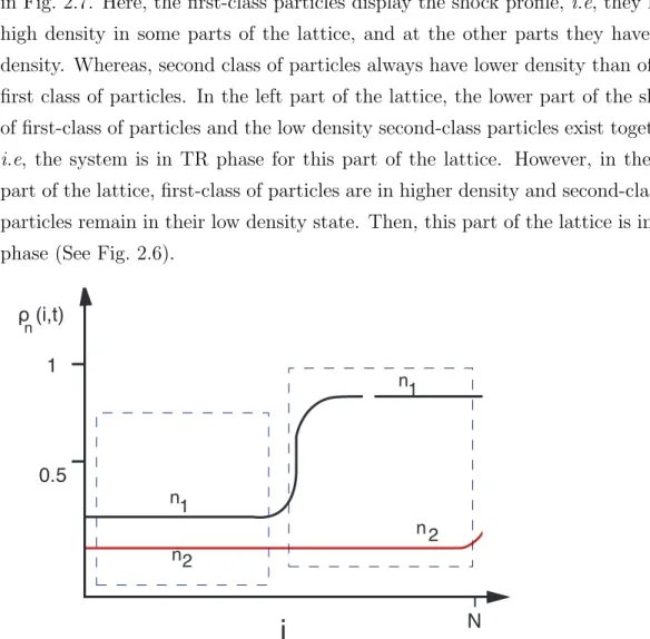 Figure 2.6: Schematic density vs lattice plot for TASEP with two classes of particles.