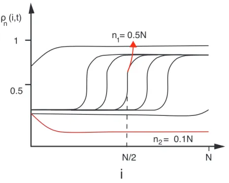 Figure 2.7: Schematic density vs lattice plot for TASEP with two classes of particles.