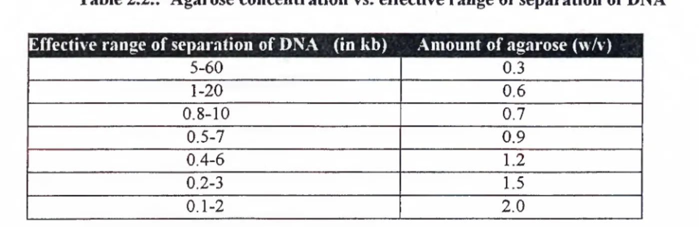Table 2.2.:  Agarose concentration vs. effective range of separation of DNA Effective range of separation  of DNA  (in kb) Amount o f agarose (л\/у)
