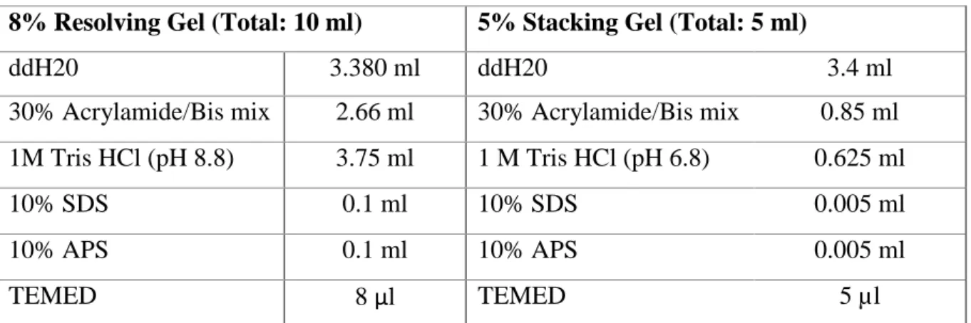 Table 2.4: Antibodies used for western blot analysis and their concentrations 