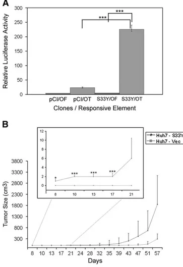 Fig. 1. TCF over-activation by stable over-expression of β-catenin leads to larger and earlier onset tumors in nude mice