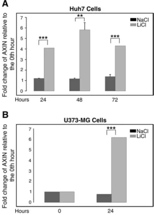 Fig. 7. AXIN2 is an immediate responder to lithium treatment of Huh7 and U373-MG cells