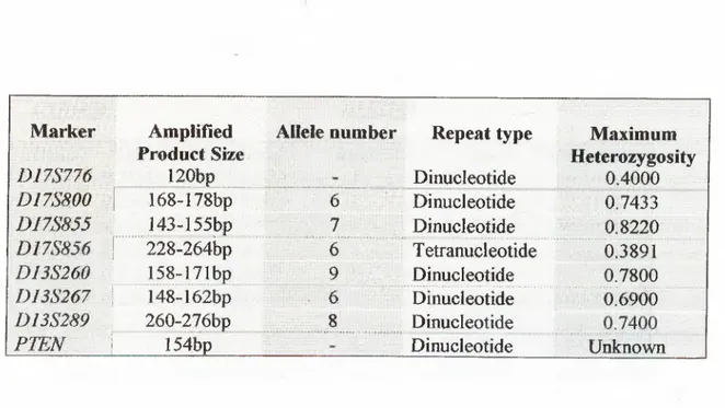 Table  1.3.1:  List of polymorphic markers used in  LOH study of testis cancer.