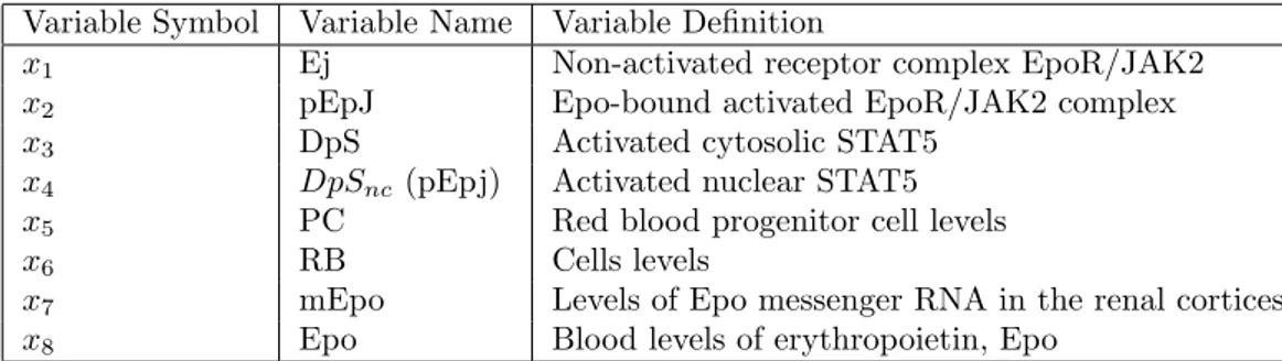 Table A.1: Model variables of Erythropoiesis