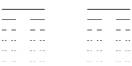 Figure 3.1: Cantor set, [17]