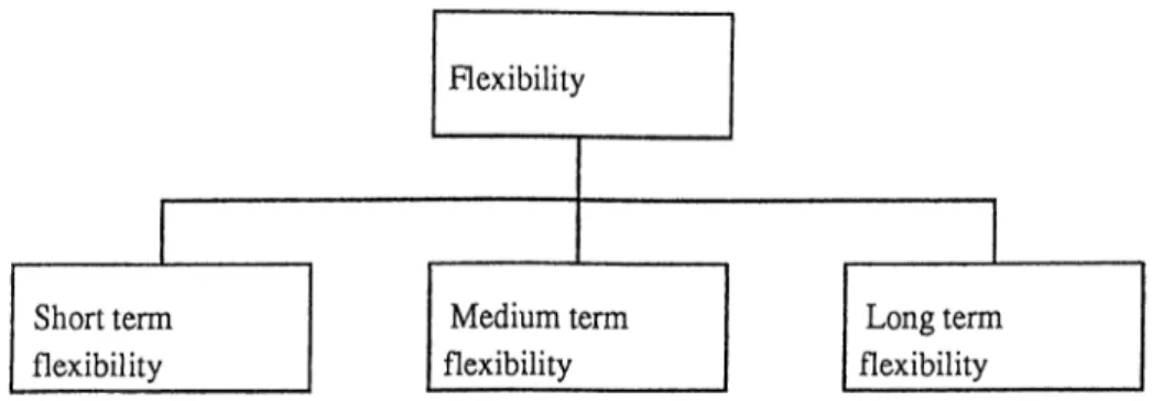 Figure  3.2:  Flexibility   attributes