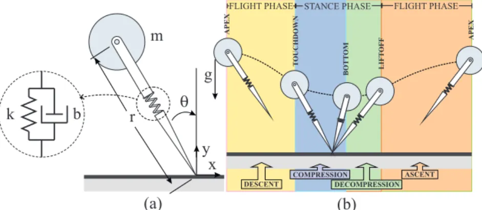 Fig. 1. The SLIP Model. (a) Coordinates and model parameters. (b) Locomotion phases (shaded regions) and transition events (boundaries).
