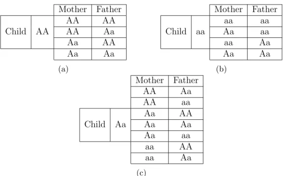 Table 4.1: A basic example for showing the possible SNPs for the parents for the three cases where the child’s SNP is (a) major homozygous, (b) minor homozygous or (c) heterozygous.