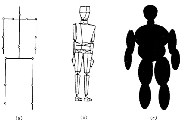 Figure  2.1:  (a)  Stick  model  (b)  Surface  model  (c)  Volume  model