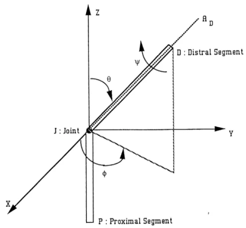 Figure  2.5:  Computational  model  of  a joint 