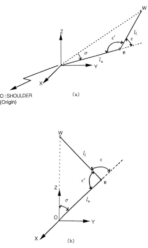 Figure  3.5:  Arm  triangle  (a)  Actual  (b)  Transformed  to  z-axis  of shoulder