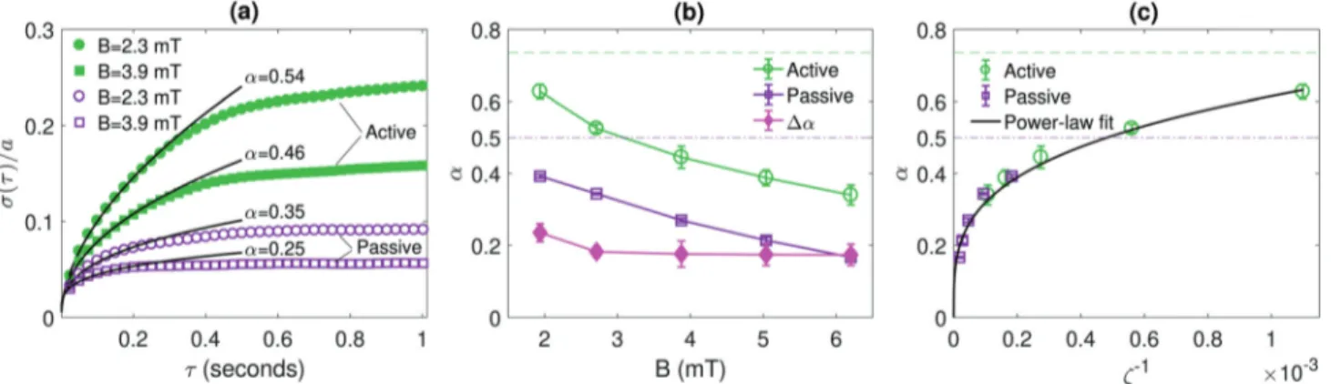 Fig. 3b shows that the total center-of-mass diﬀusion coeﬃcient of our short semiflexible chains in the passive bath fits well with aFig