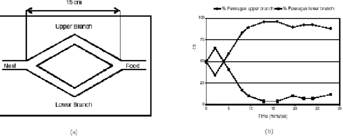 Figure 3.1: Single Bridge Experiment. a)Experiment setup and b) Results for a typical single trial; 