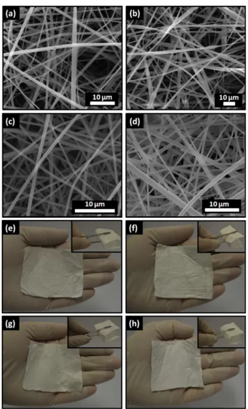 Fig. 2. Representative SEM image of electrospun NF obtained from (a) HP␤CD, (b) HP␥CD solutions, (c) triclosan/HP␤CD-IC, and (d) triclosan/HP␥CD-IC suspensions