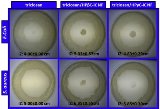 Fig. 6. The representative photographs of antibacterial test plates with the average inhibition zone (IZ) and standard deviation calculations for E