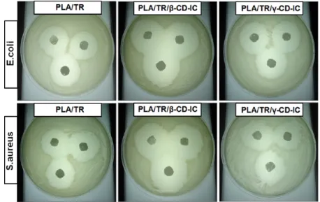 Figure 8. Photographs of antibacterial test of the electrospun nanowebs after 24 h of incubation at 37 °C.