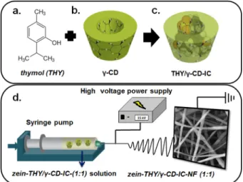 Fig. 1. The chemical structure of (a) THY; (b) schematic representation of c -CD, (c) THY/ c -CD-IC formation, and (d) electrospinning of nanofibers from zein-THY/ c  -CD-IC (1:1) solution.