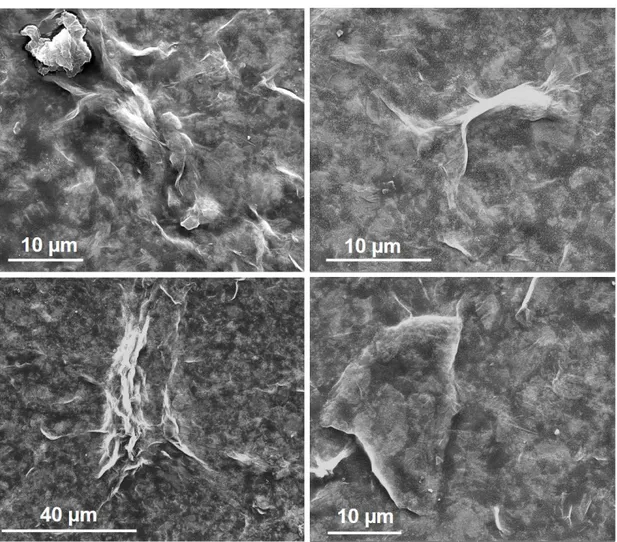 Figure 3.7: SEM images for ERGO-modified FTO at different magnifications