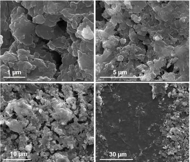 Figure 3.10: SEM images for ERGO:Ni-P-modified FTO at different magnifica- magnifica-tions