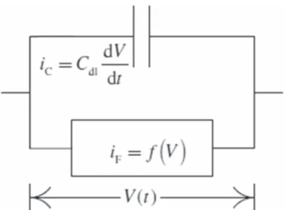 Figure 3. Behavior of the fraction of inactive area γ as a function of time for the calculation of the impedance of nonstationary systems.