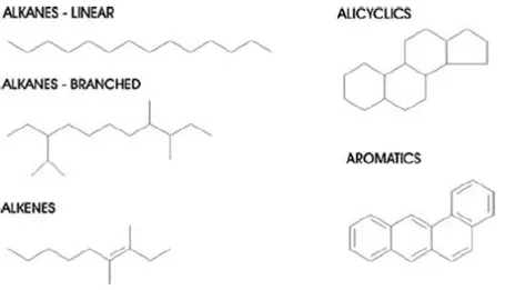 Figure  1.4:  Examples of straight- and branched-chain aliphatic, alkenes, alicyclic  and  aromatic hydrocarbon structures [18]